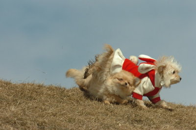 Mar8_07_1501.JPG