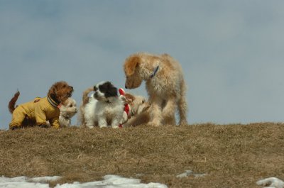 Mar8_07_1511.JPG