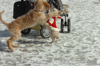 Mar8_07_1534.JPG