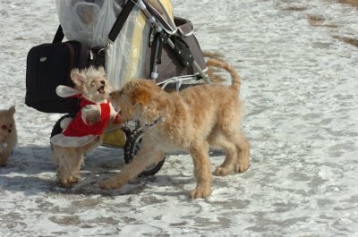 Mar8_07_1539.JPG