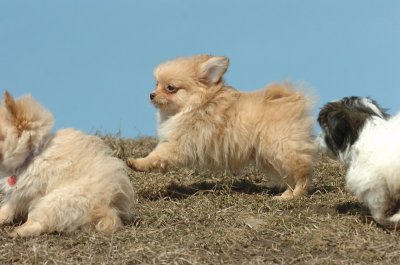 Mar8_07_1000.JPG