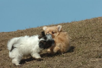 Mar8_07_1001.JPG