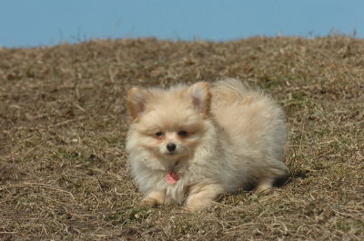 Mar8_07_1004.JPG