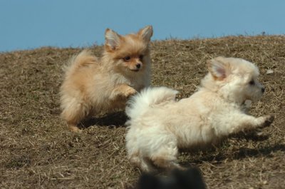 Mar8_07_1008.JPG
