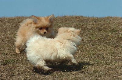 Mar8_07_1009.JPG