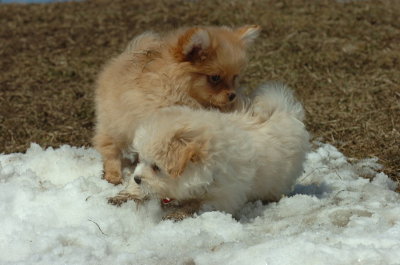 Mar8_07_1011.JPG