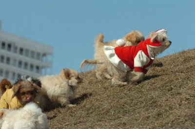 Mar8_07_1025.JPG