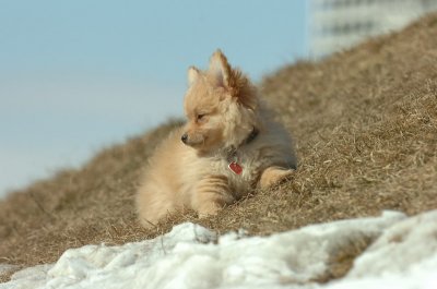 Mar8_07_1068.JPG