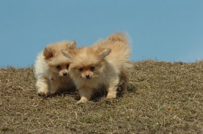 Mar8_07_1074.JPG