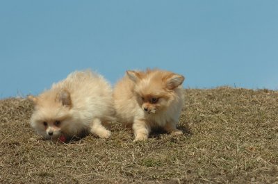 Mar8_07_1076.JPG
