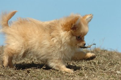 Mar8_07_1078.JPG