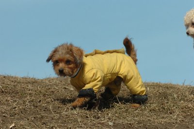Mar8_07_1084.JPG
