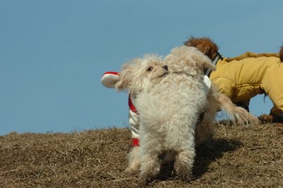 Mar8_07_1086.JPG