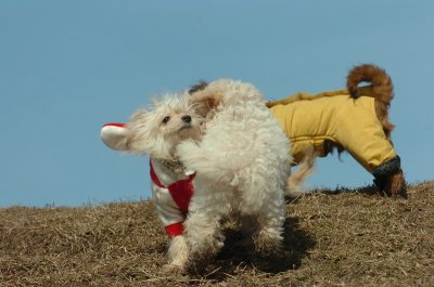Mar8_07_1087.JPG