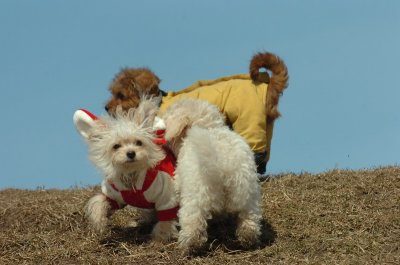 Mar8_07_1088.JPG
