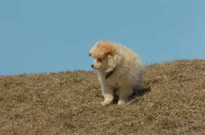 Mar8_07_1091.JPG