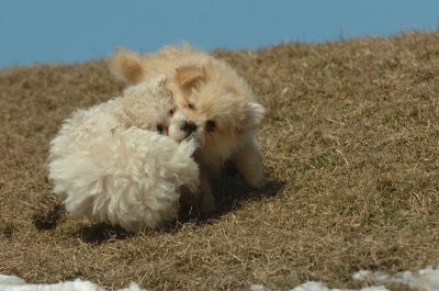 Mar8_07_1099.JPG
