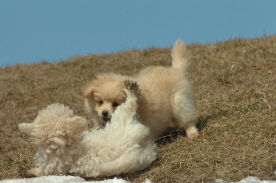 Mar8_07_1101.JPG