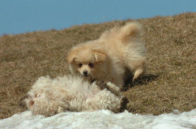 Mar8_07_1102.JPG