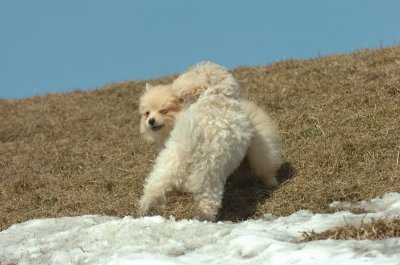 Mar8_07_1105.JPG