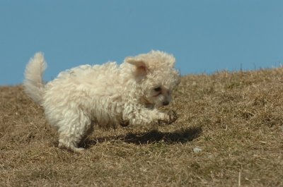 Mar8_07_1109.JPG
