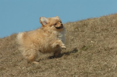 Mar8_07_1112.JPG