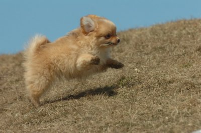 Mar8_07_1113.JPG