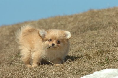 Mar8_07_1116.JPG