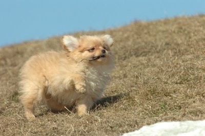 Mar8_07_1117.JPG