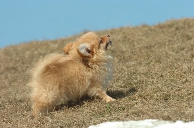 Mar8_07_1118.JPG
