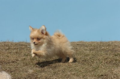 Mar8_07_989.JPG