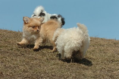 Mar8_07_990.JPG