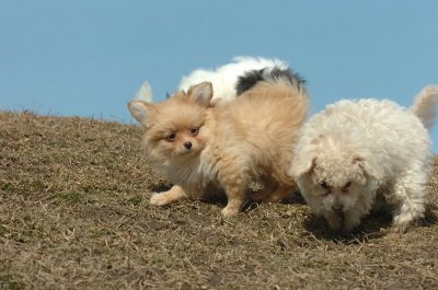Mar8_07_991.JPG
