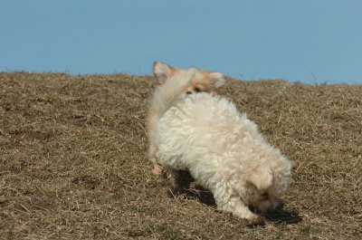 Mar8_07_994.JPG