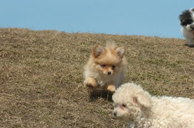 Mar8_07_997.JPG