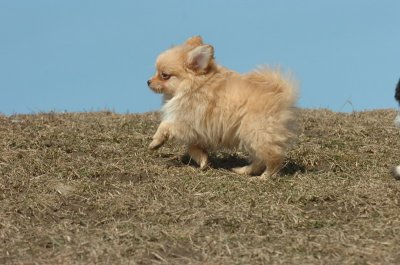 Mar8_07_998.JPG