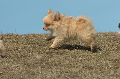 Mar8_07_999.JPG