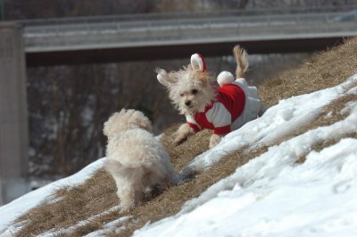 Mar8_07_420.JPG