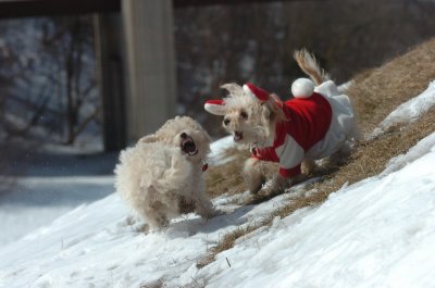 Mar8_07_421.JPG