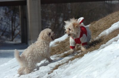 Mar8_07_423.JPG