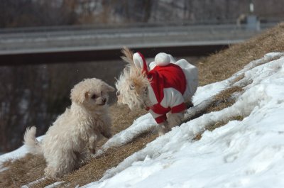 Mar8_07_424.JPG