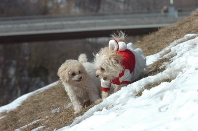 Mar8_07_428.JPG