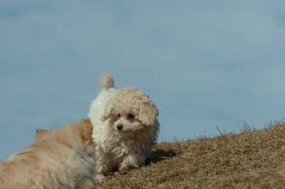 Mar8_07_433.JPG