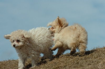 Mar8_07_438.JPG