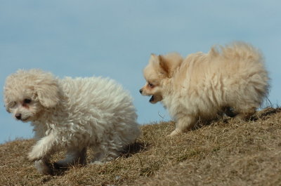 Mar8_07_439.JPG