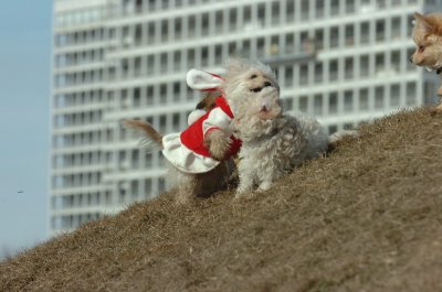 Mar8_07_441.JPG