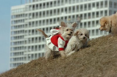 Mar8_07_442.JPG