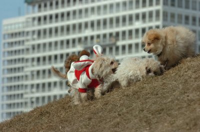 Mar8_07_443.JPG