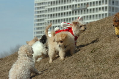 Mar8_07_452.JPG