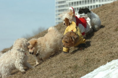 Mar8_07_454.JPG